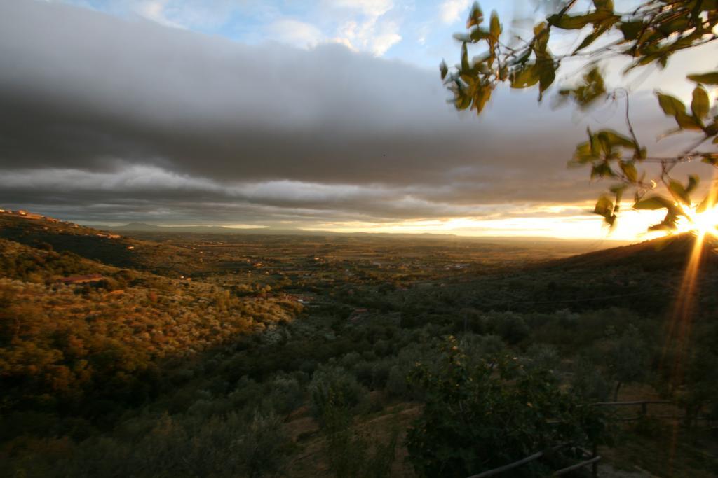 Locanda San Martino A Bocena Cortona Luaran gambar